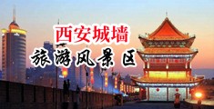 嫩B自拍中国陕西-西安城墙旅游风景区